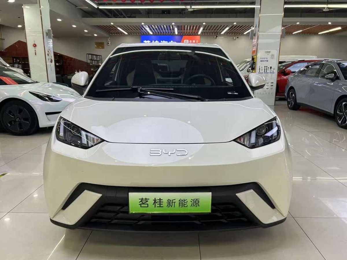 比亞迪 海鷗  2024款 榮耀版 305km 活力版圖片