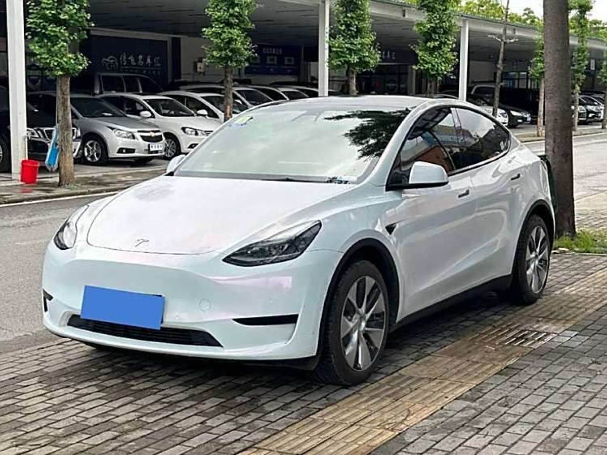 2023年3月特斯拉 Model 3  2022款 后輪驅(qū)動版