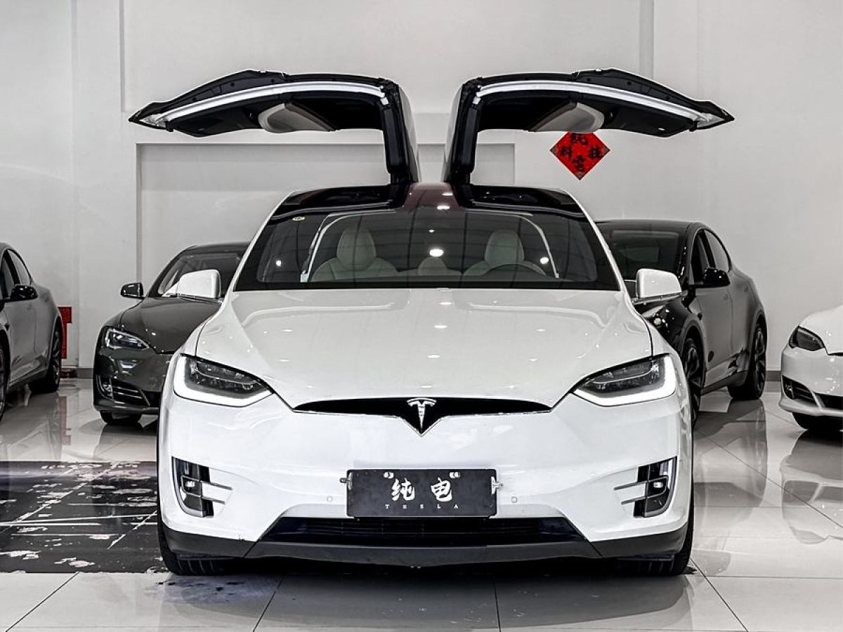 特斯拉 Model X  2020款 長(zhǎng)續(xù)航升級(jí)版圖片