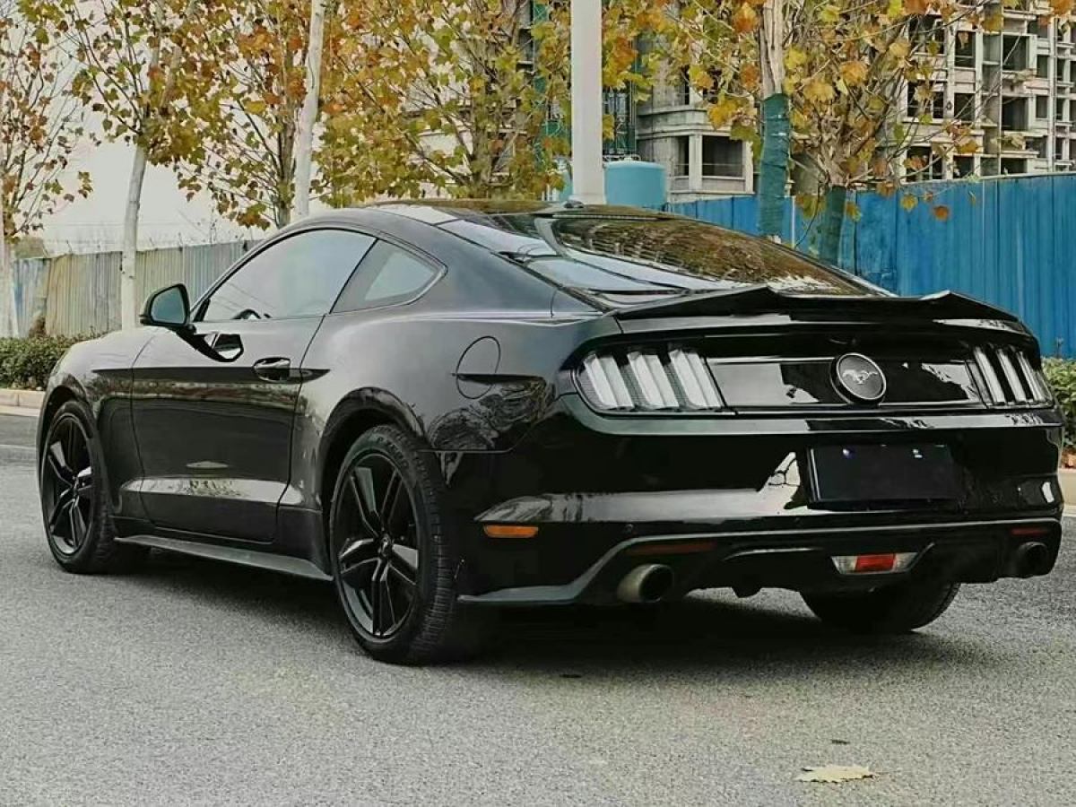 福特 Mustang  2015款 2.3T 性能版圖片