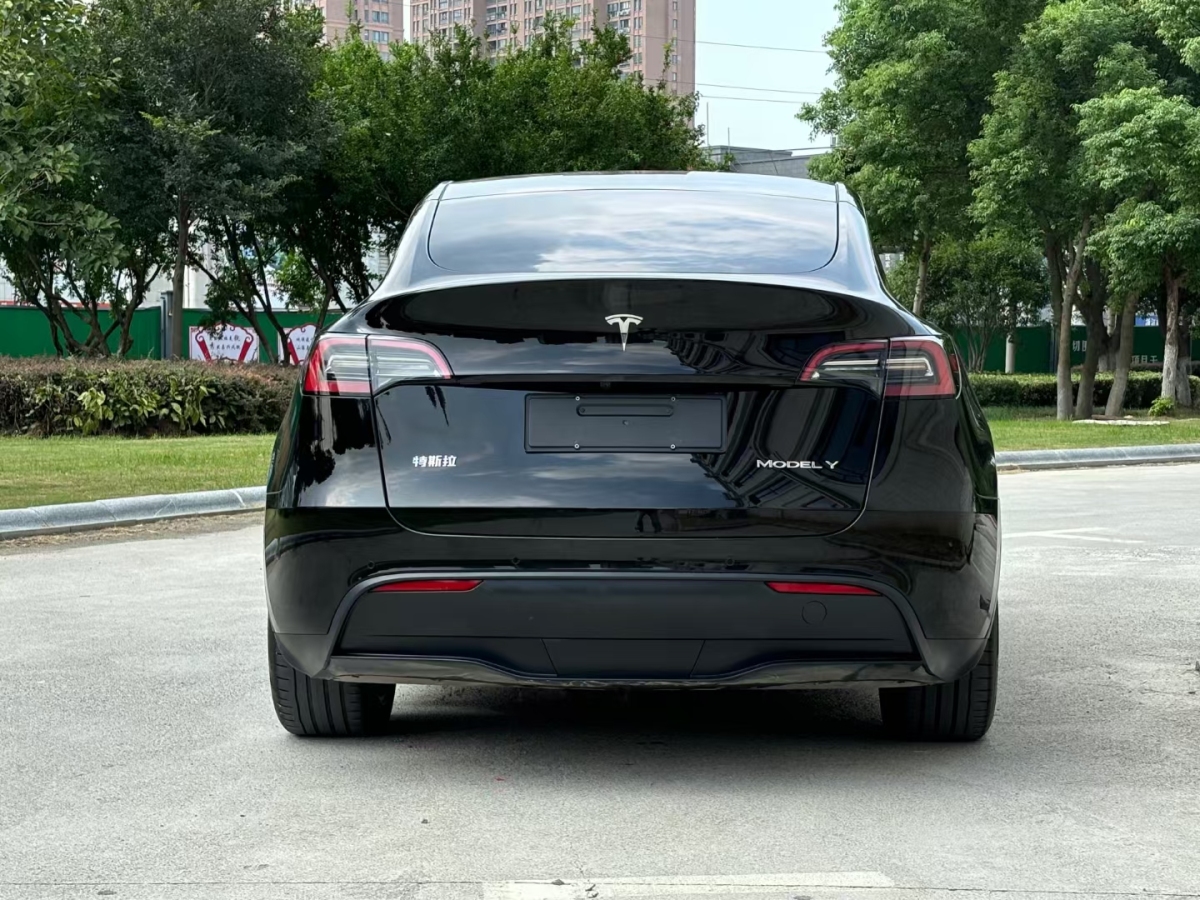 特斯拉 Model Y  2020款 改款 長續(xù)航后輪驅(qū)動(dòng)版圖片