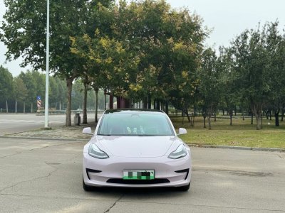 2020年1月 特斯拉 Model 3 標準續(xù)航后驅(qū)升級版圖片