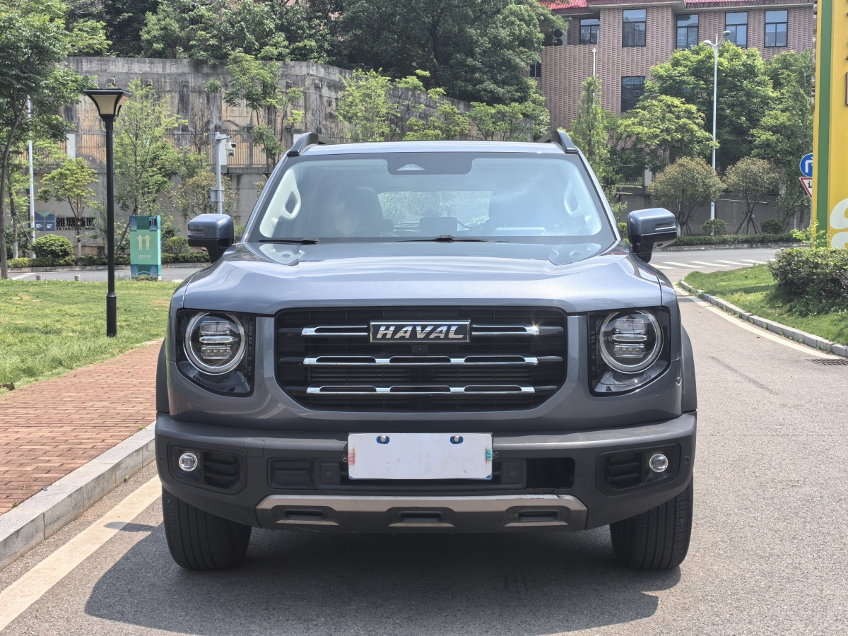 哈弗 哈弗大狗  2021款 1.5T DCT邊牧-旺財(cái)版圖片