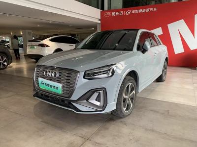 2022年6月 奥迪 Q2L e-tron Q2L e-tron 纯电智享型图片