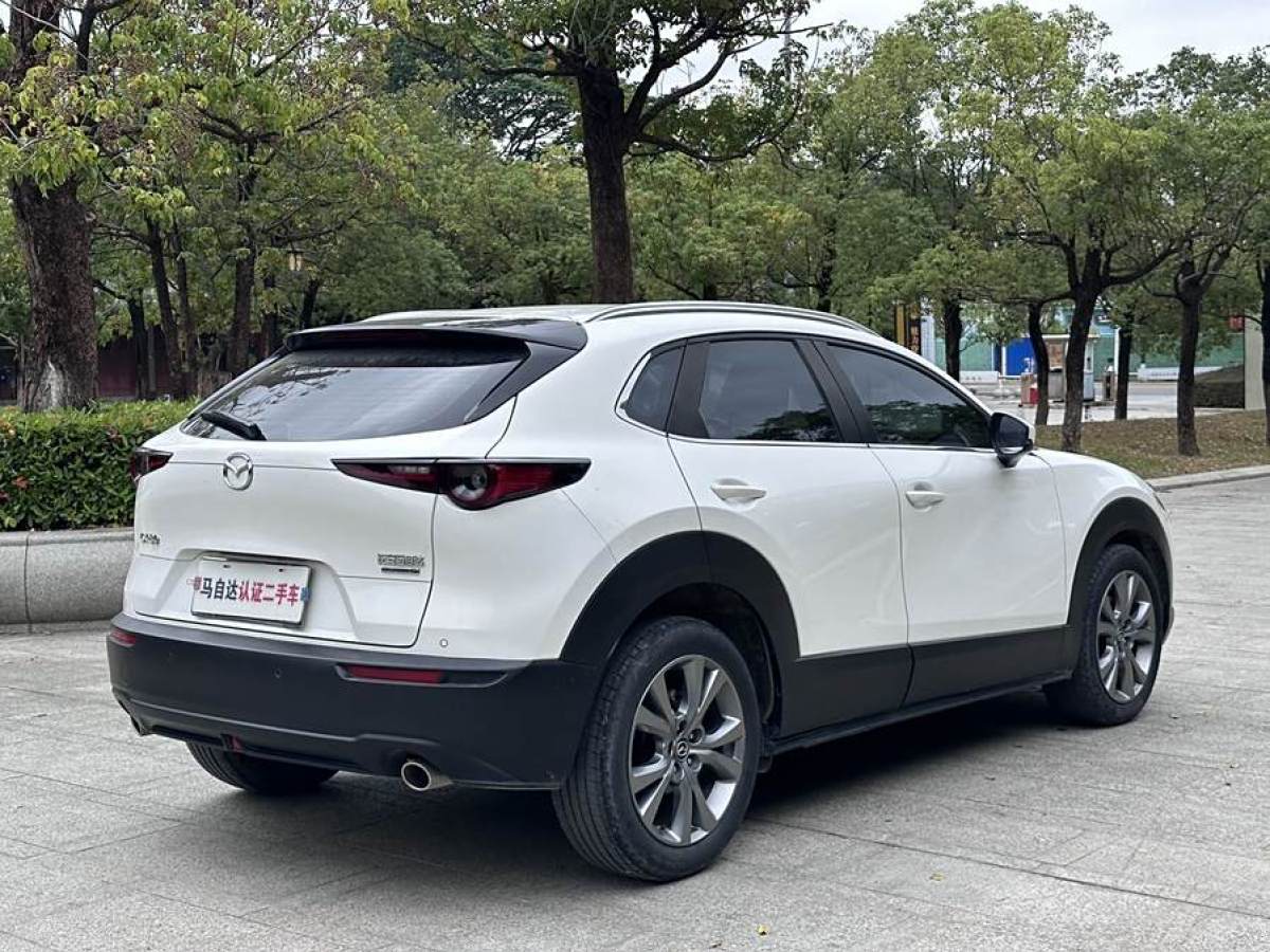 馬自達 CX-30  2020款 2.0L 自動嘉悅型圖片