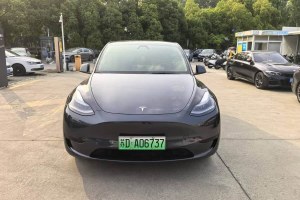 Model Y 特斯拉 后輪驅(qū)動版