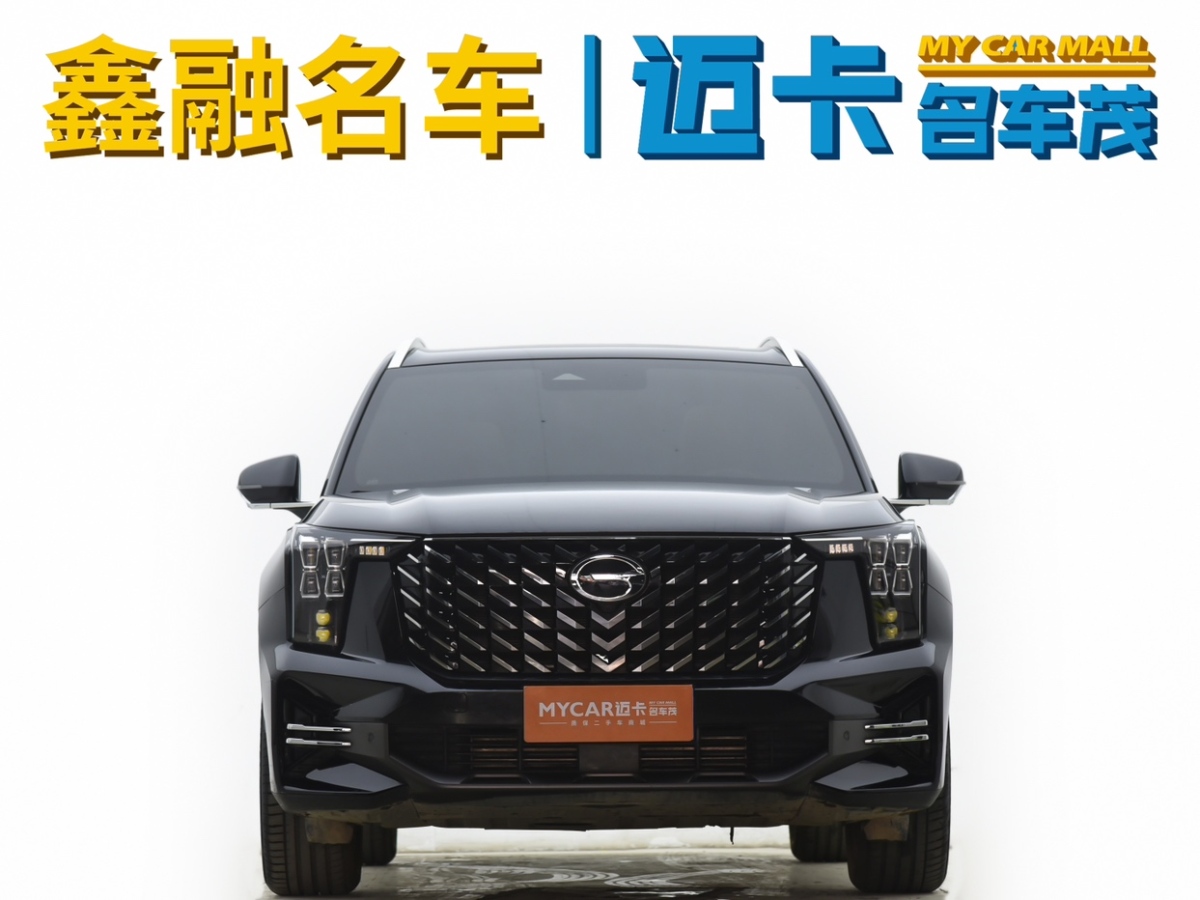 廣汽傳祺 GS8  2024款 領(lǐng)航系列 2.0TGDI 兩驅(qū)豪華智聯(lián)版圖片