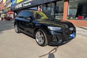 奥迪SQ5 奥迪 SQ5 3.0 TFSI quattro