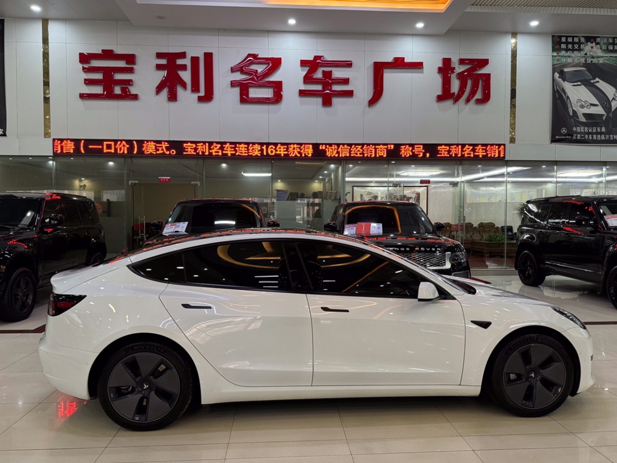 2021年2月特斯拉 Model 3  2021款 標(biāo)準(zhǔn)續(xù)航后驅(qū)升級版