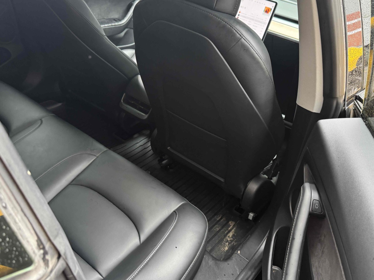 特斯拉 Model 3  2021款 標(biāo)準(zhǔn)續(xù)航后驅(qū)升級版 3D6圖片