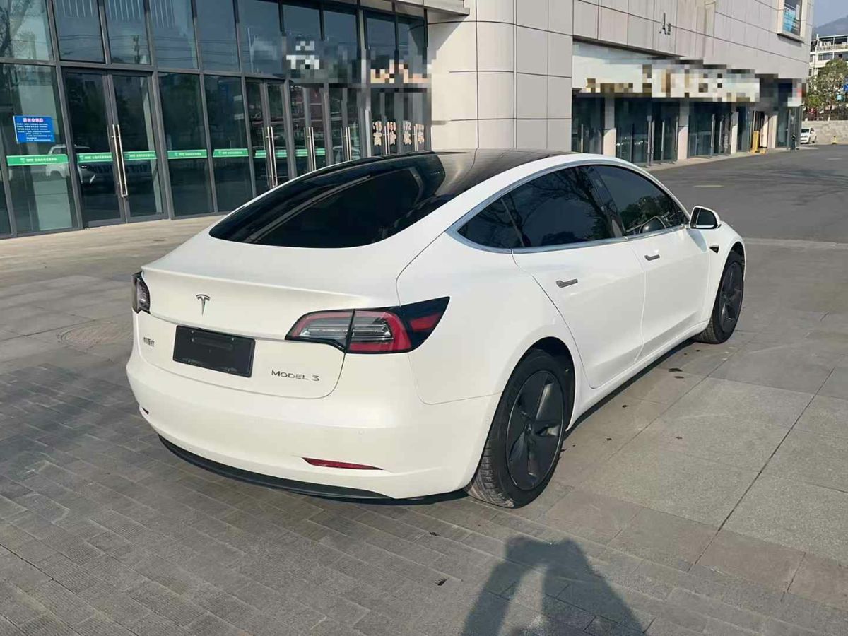 特斯拉 Model X  2020款 Performance 高性能版圖片