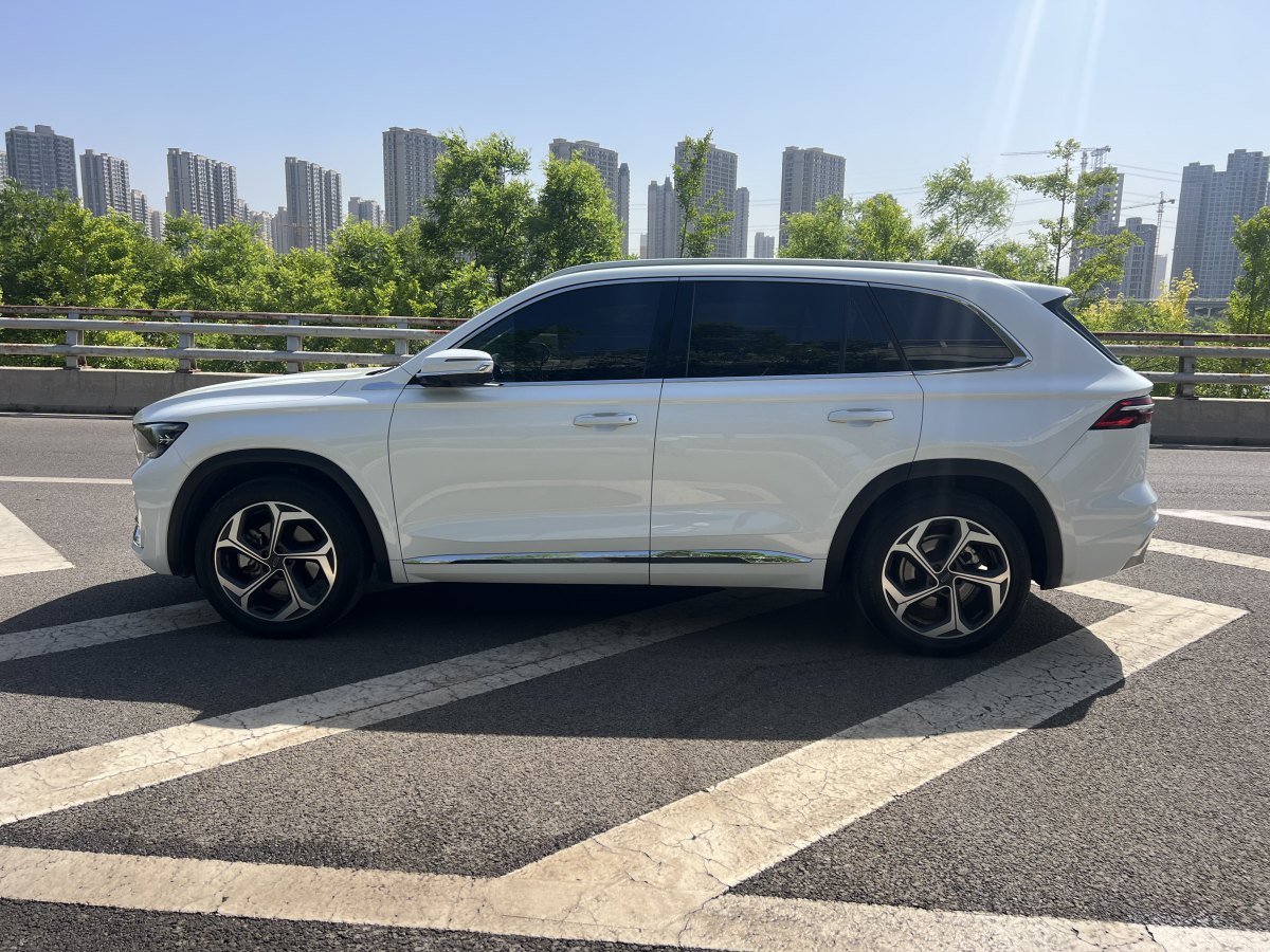 2022年3月吉利 星越L  2021款 2.0TD DCT EVO兩驅(qū)尊貴型