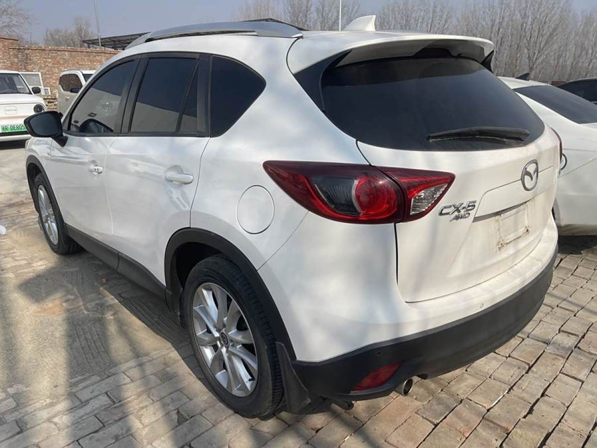 馬自達 CX-5  2013款 2.5L 自動四驅(qū)豪華型圖片