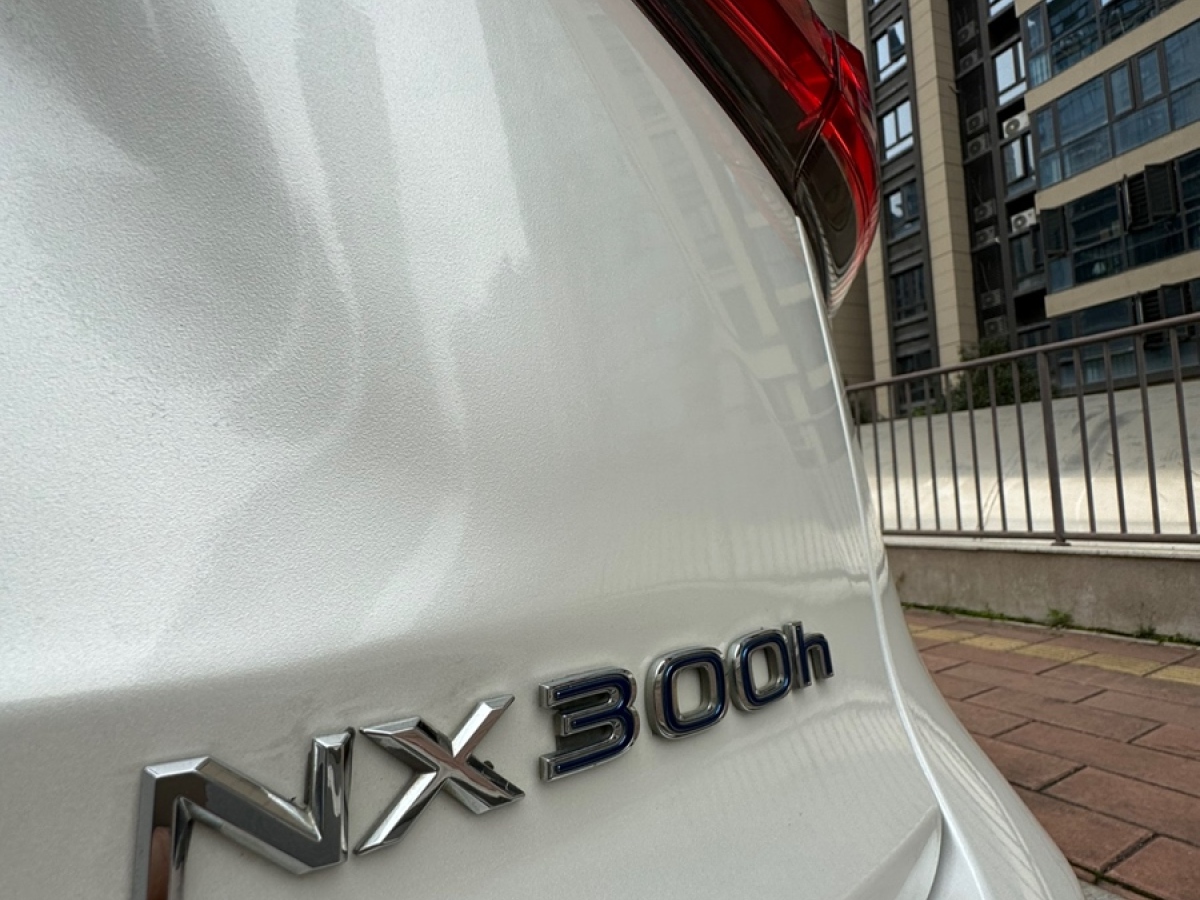 雷克萨斯 NX  2020款 300h 前驱 锋尚版 国V图片