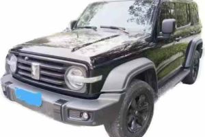 坦克300 坦克 2.0T 坦克游俠