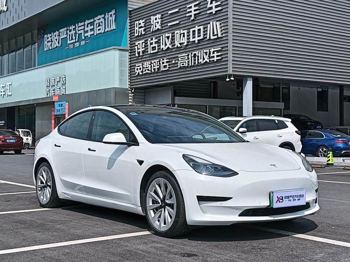 2021年3月特斯拉 Model 3  2021款 改款 標準續(xù)航后驅(qū)升級版