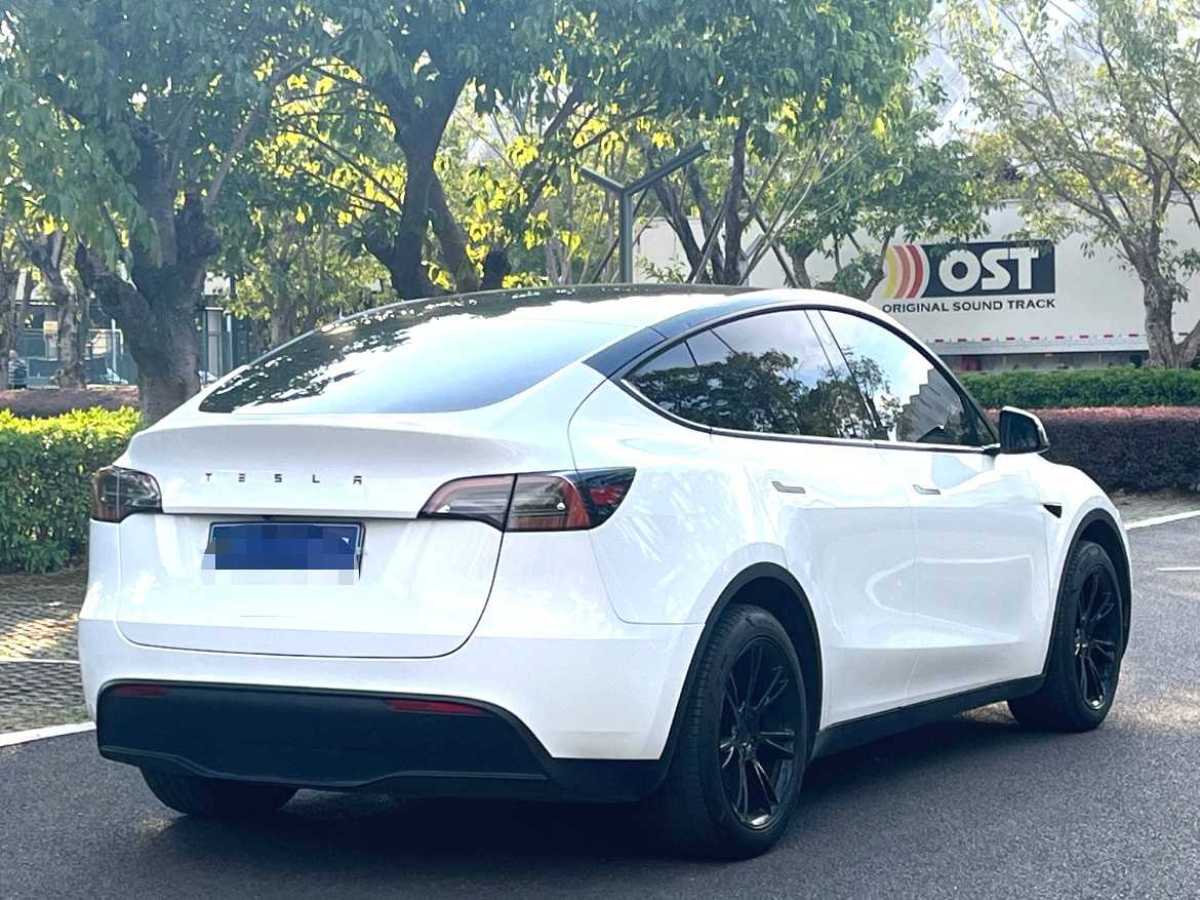 特斯拉 Model 3  2020款 改款 長續(xù)航后輪驅(qū)動版圖片