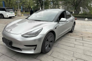 Model 3 特斯拉 标准续航后驱升级版