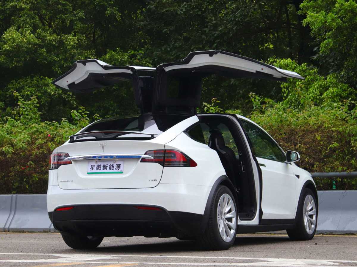 特斯拉 Model X  2016款 Model X 75D圖片