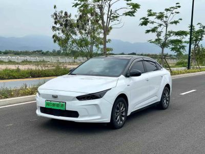 2022年7月 幾何 幾何A Pro 430KM 公務(wù)版圖片