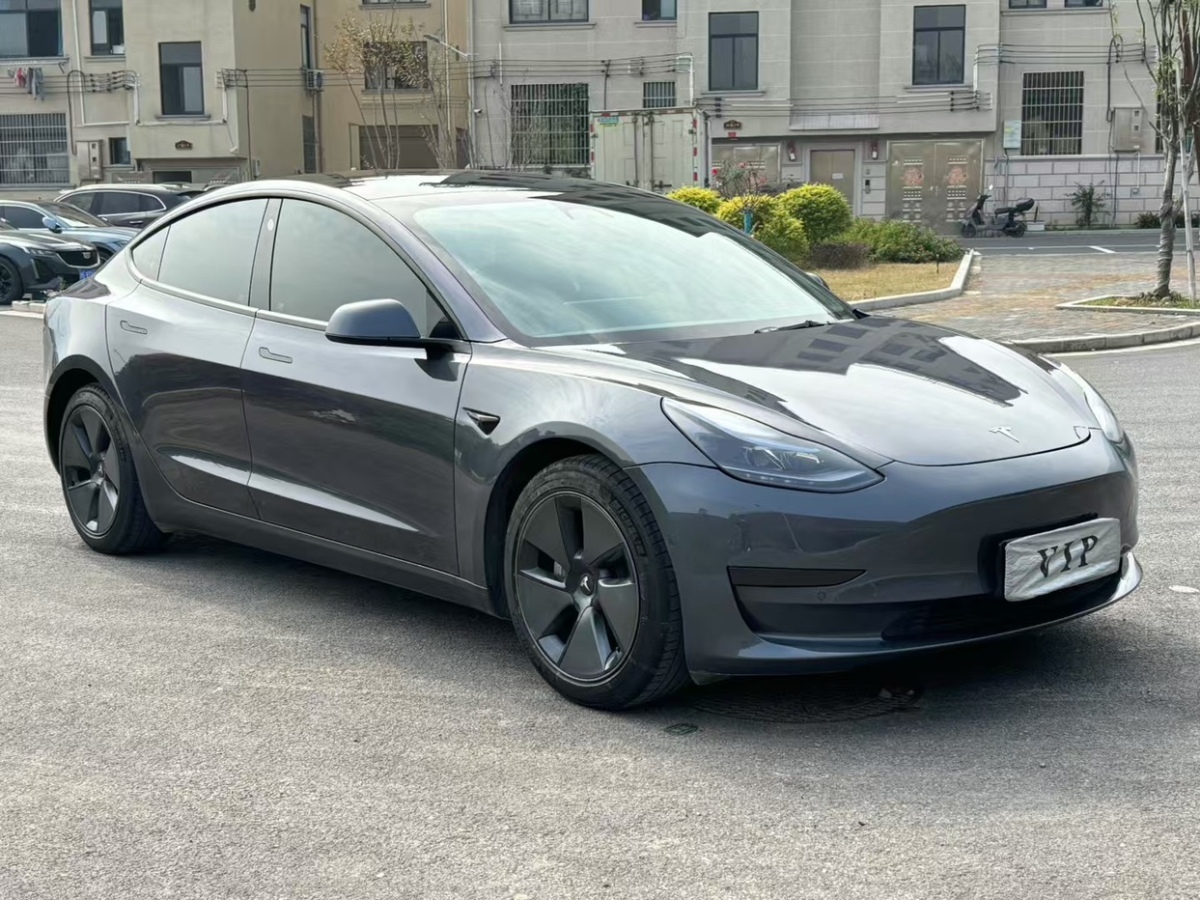 特斯拉 Model 3  2019款 標(biāo)準(zhǔn)續(xù)航后驅(qū)升級(jí)版圖片