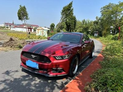 2015年12月 福特 Mustang(進(jìn)口) 2.3T 運(yùn)動版圖片