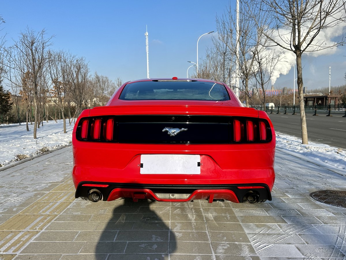 福特 Mustang  2015款 2.3T 性能版圖片