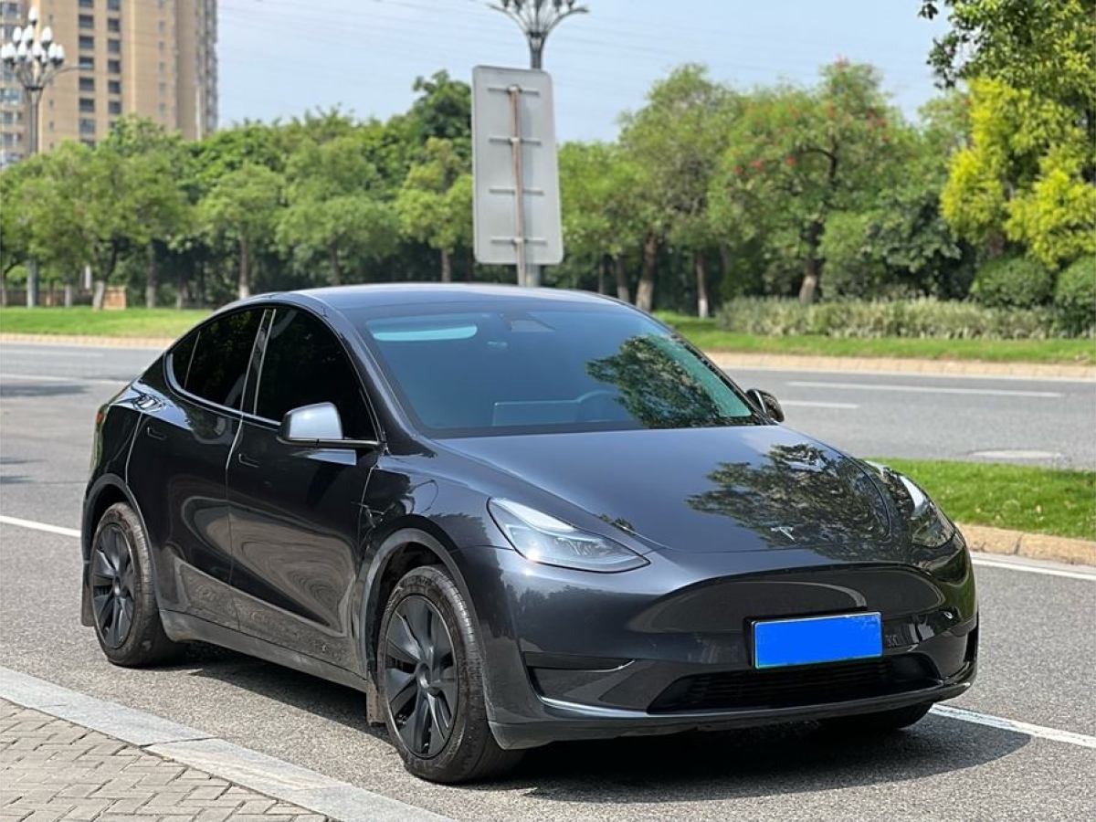 特斯拉 Model Y  2020款 改款 長(zhǎng)續(xù)航后輪驅(qū)動(dòng)版圖片