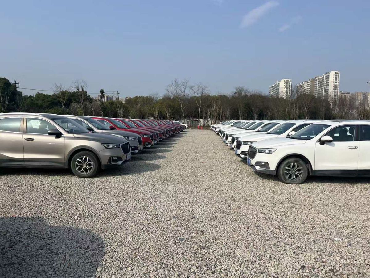 寶騏 帥騏  2019款 純電動廂式運輸車圖片