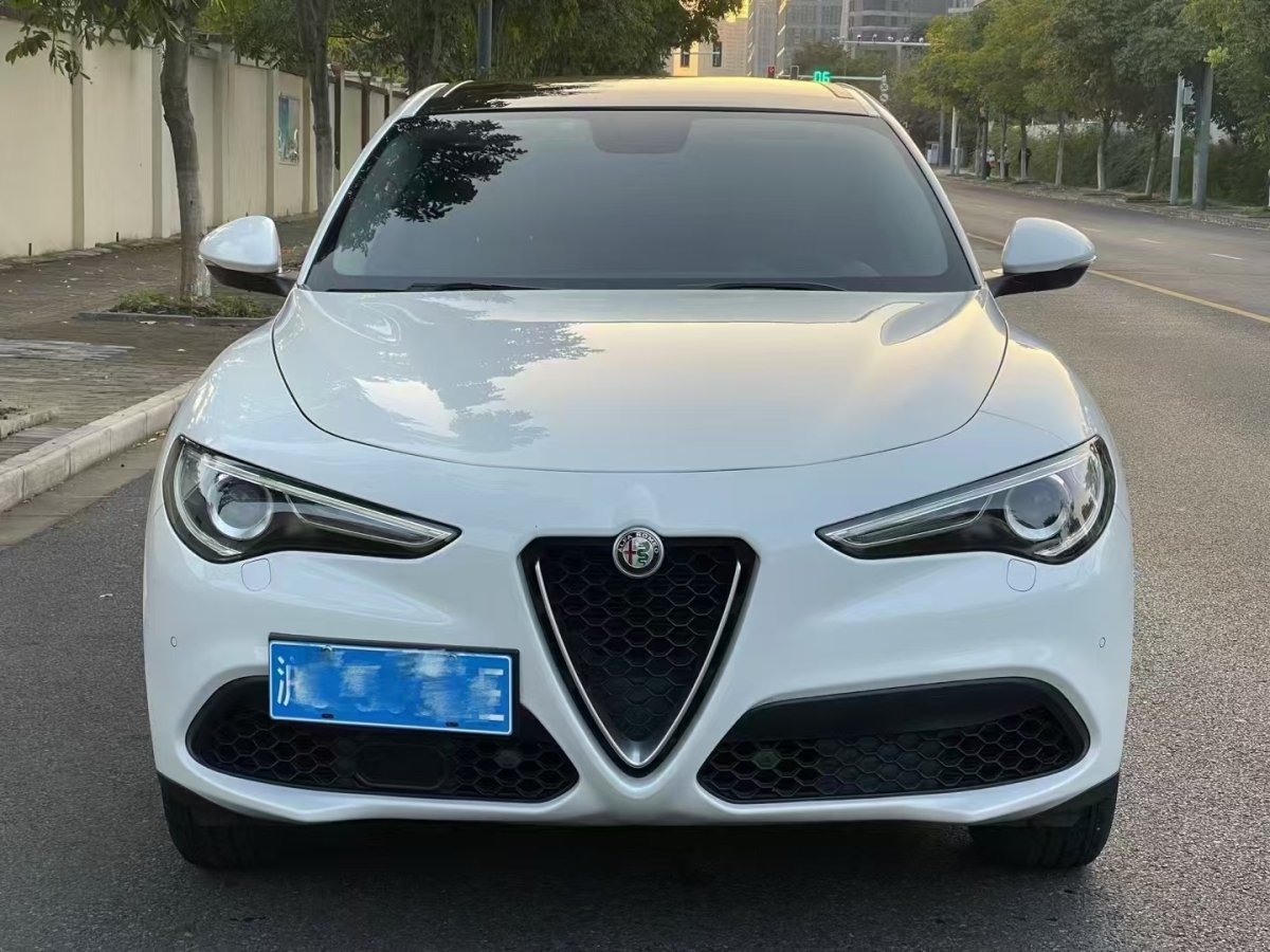 阿爾法·羅密歐 Stelvio  2017款 2.0T 200HP 精英版圖片