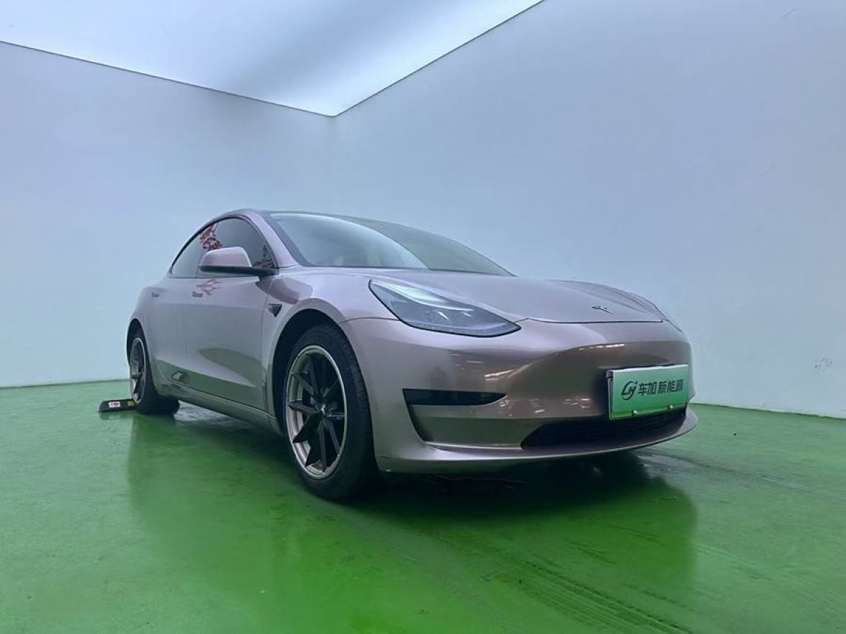 2021年3月特斯拉 Model 3  2021款 改款 標(biāo)準(zhǔn)續(xù)航后驅(qū)升級(jí)版