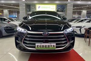 唐新能源 比亞迪 DM-i 252KM 尊享型