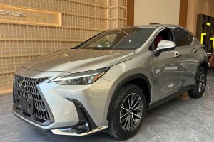 NX 雷克薩斯 260 前驅(qū) 創(chuàng)悅版