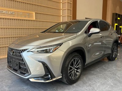 2022年11月 雷克薩斯 NX 260 前驅 創(chuàng)悅版圖片