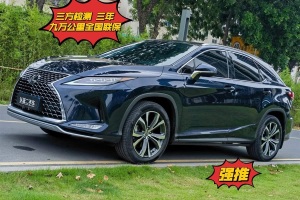 RX 雷克薩斯 改款 300 四驅(qū)典雅版