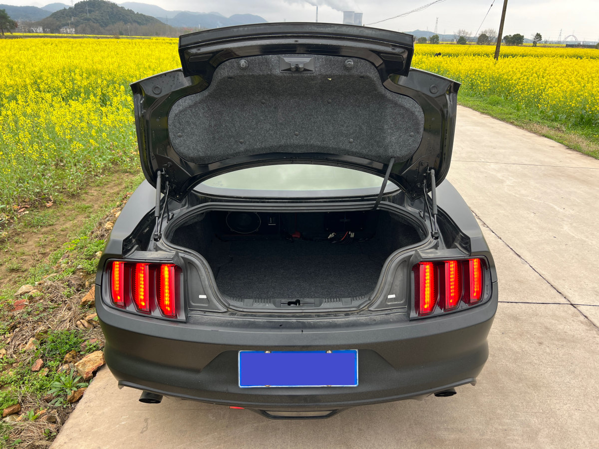 福特 Mustang  2017款 2.3T 性能版圖片