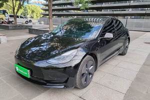 Model 3 特斯拉 标准续航后驱升级版 3D6