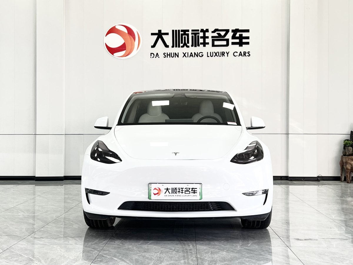 特斯拉 Model 3  2021款 改款 Performance高性能全輪驅(qū)動(dòng)版圖片