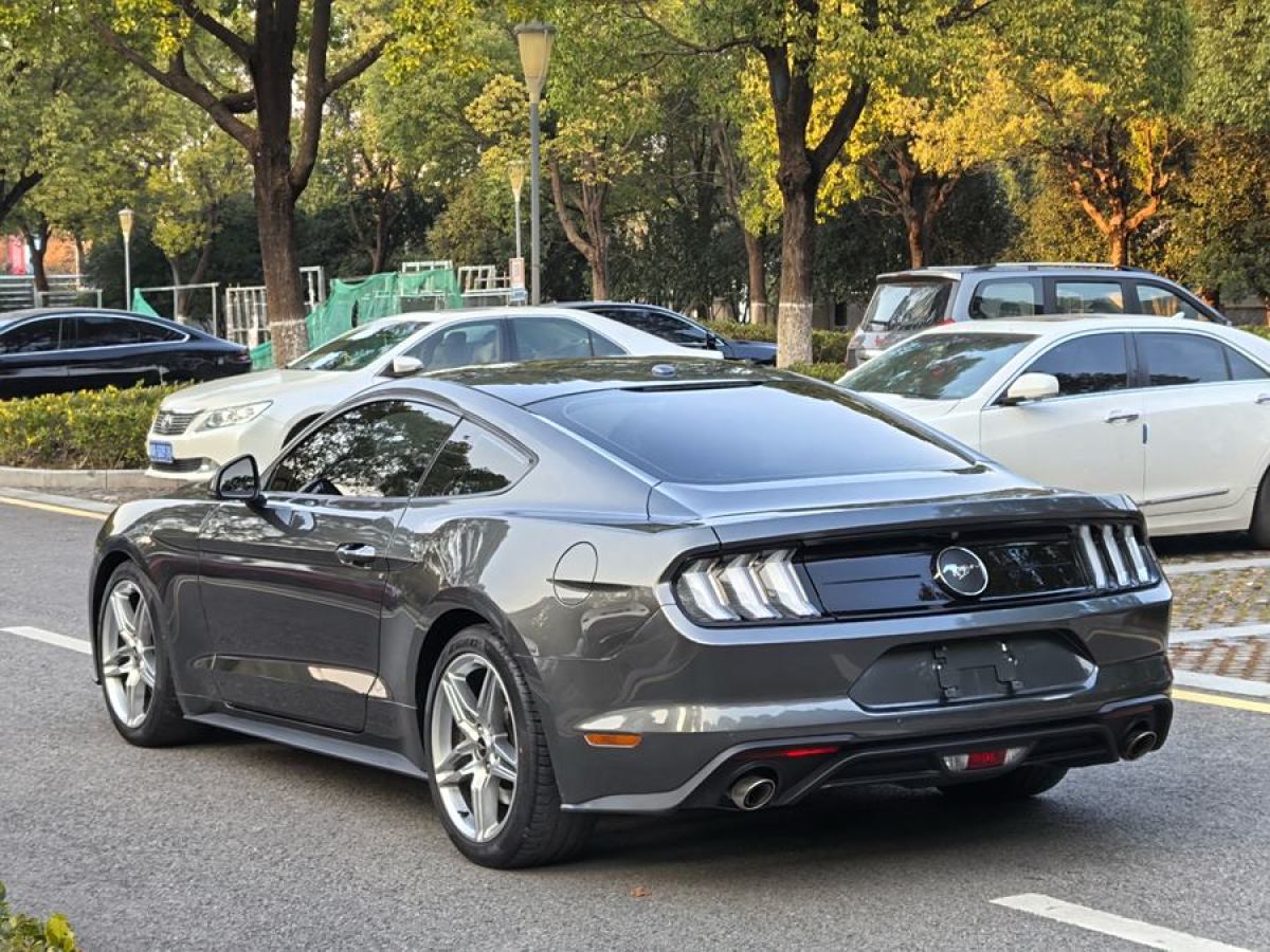 福特 Mustang  2019款 2.3L EcoBoost 性能加強版圖片