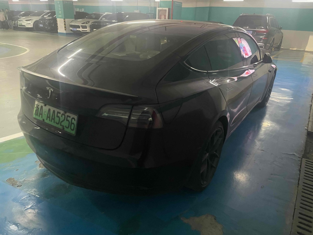 特斯拉 Model 3  2019款 標準續(xù)航后驅(qū)升級版圖片