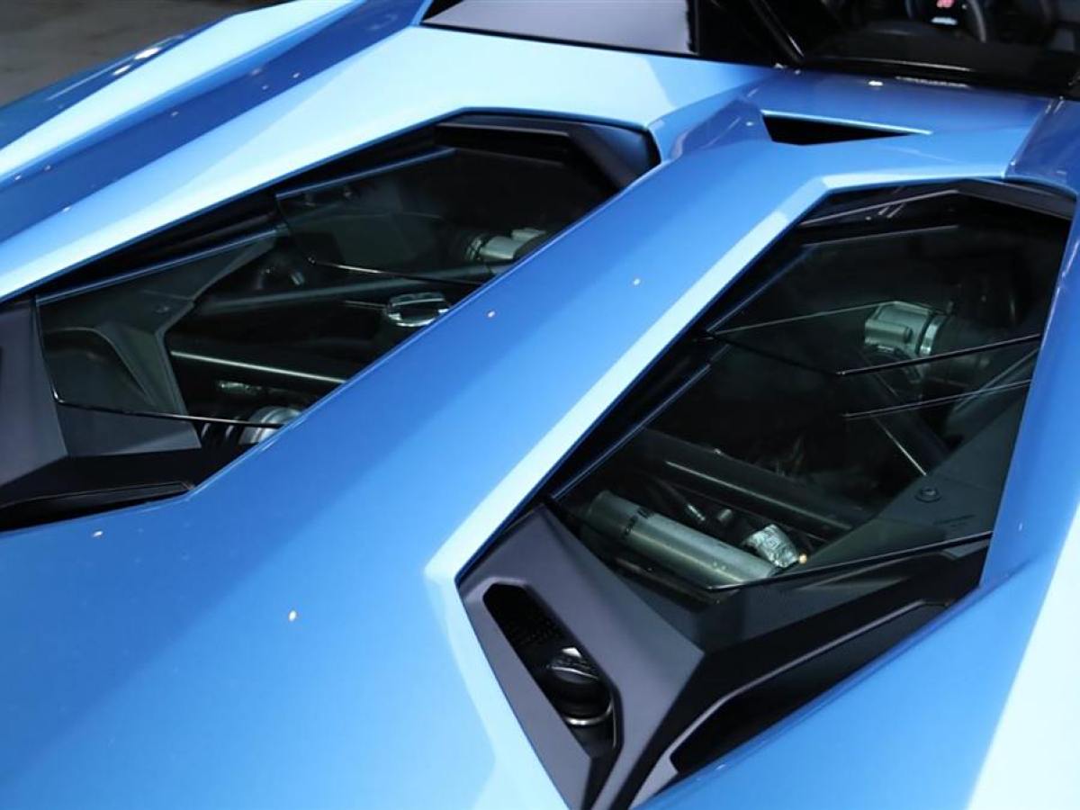 2019年1月蘭博基尼 Aventador  2018款 Aventador S Roadster