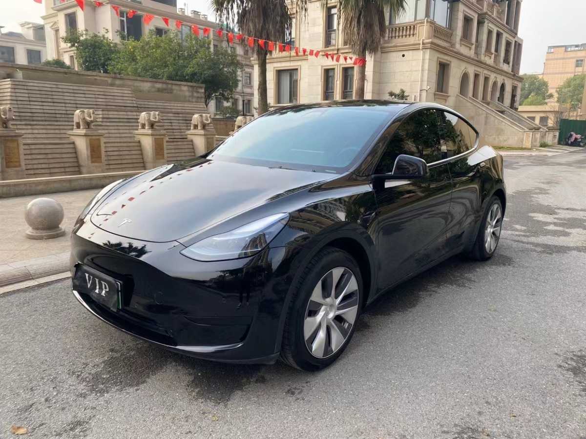 特斯拉 Model 3  2022款 后輪驅(qū)動版圖片