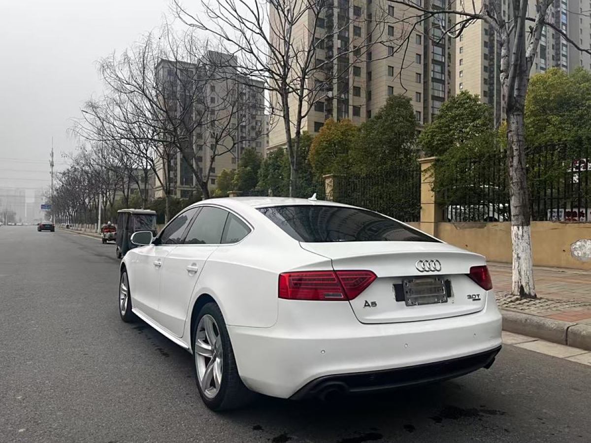 奧迪 奧迪A5  2013款 Sportback 50 TFSI quattro圖片