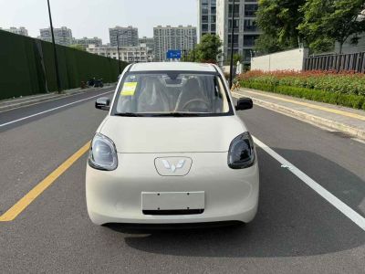 2025年5月 五菱 菱勢(shì)黃金小卡 倉(cāng)柵 頂配版圖片