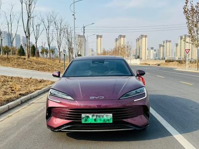 2023年10月 比亞迪 海豹 DM-i 1.5L 121km 豪華型圖片