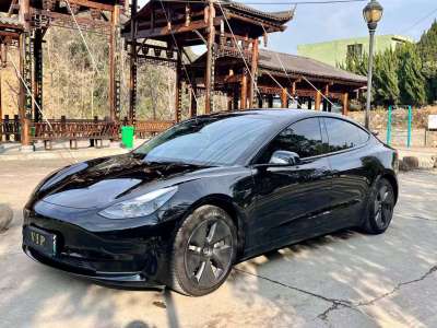 2022年01月 特斯拉 Model 3 標(biāo)準(zhǔn)續(xù)航后驅(qū)升級版 3D6圖片