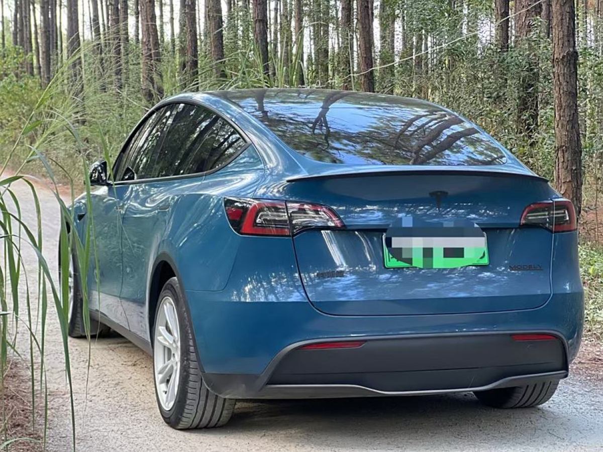 特斯拉 Model Y  2022款 后輪驅(qū)動版圖片