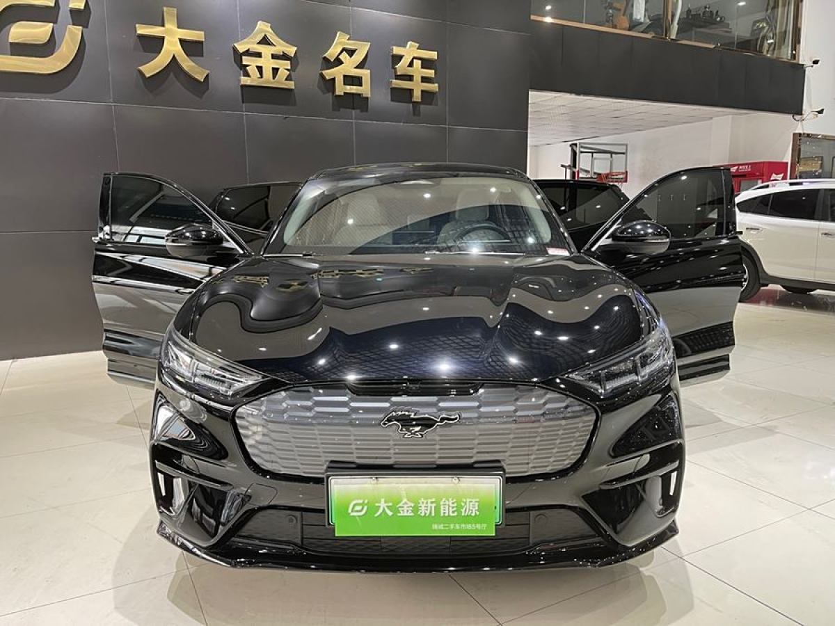 福特 Mustang Mach-E  2021款 長續(xù)航后驅(qū)版圖片