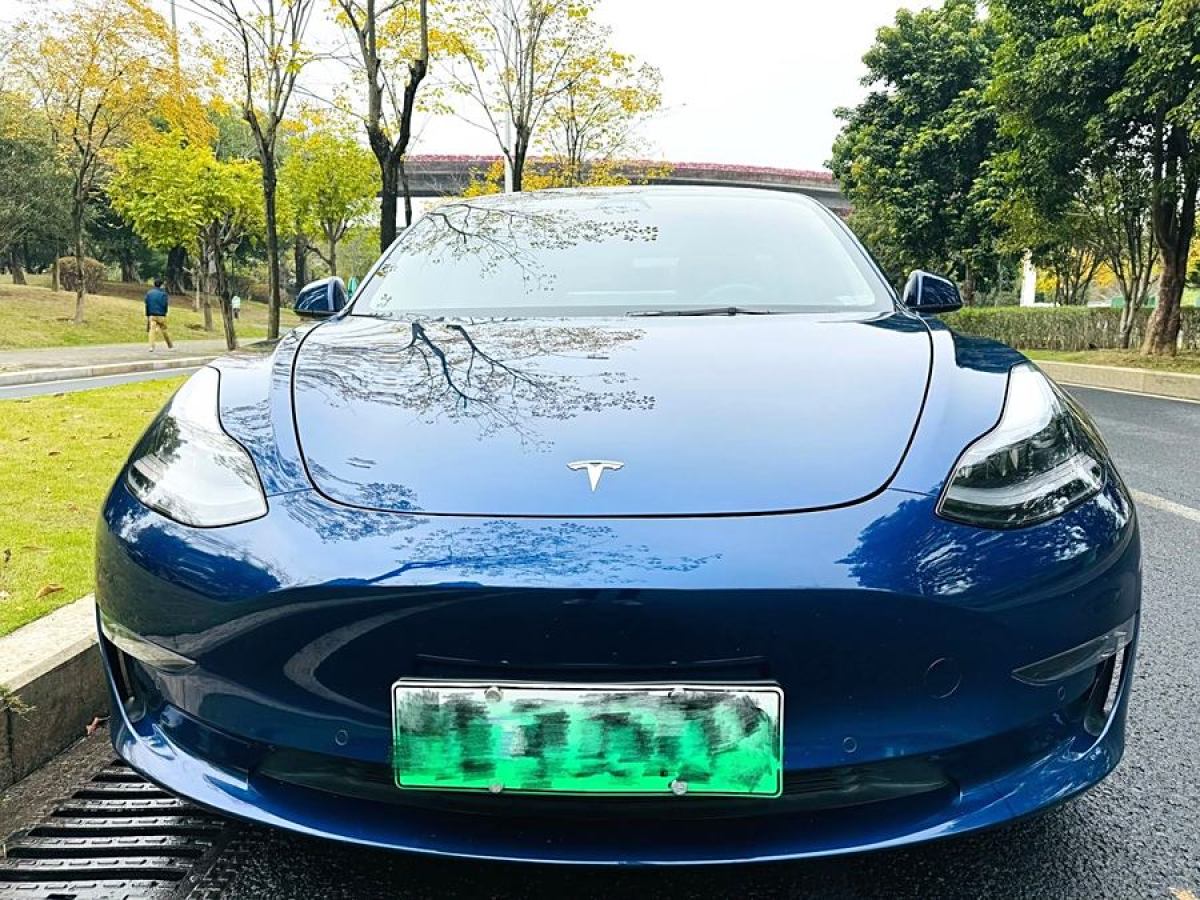 特斯拉 Model Y  2021款 Performance高性能全輪驅(qū)動(dòng)版圖片