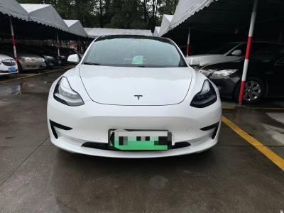 2020年6月 特斯拉 Model 3 標(biāo)準(zhǔn)續(xù)航后驅(qū)升級版圖片